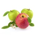 Fresh apples Royalty Free Stock Photo