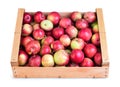 Fresh apples in box isolated on white background Royalty Free Stock Photo