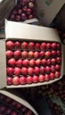 Fresh apples boxes packings shimla Royalty Free Stock Photo
