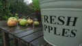 Fresh apples bucket on a garden table