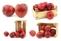 Fresh apples called `red love` in a wooden crate Royalty Free Stock Photo