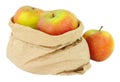 Fresh Apples In A Paper Bag Royalty Free Stock Photo