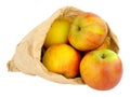 Fresh Apples In A Paper Bag Royalty Free Stock Photo