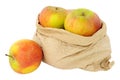 Fresh Apples In A Paper Bag Royalty Free Stock Photo