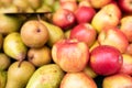 Fresh apples and pears Royalty Free Stock Photo