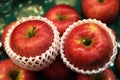 Fresh apples in red for sale Royalty Free Stock Photo
