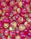 Fresh apples for sale Royalty Free Stock Photo