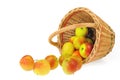 Fresh apples spilling out of basket - isolated on Royalty Free Stock Photo