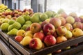 Fresh apples in the store on the counter showcase trade. fresh fruits and vitamins, healthy food and diet