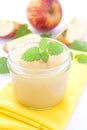 Fresh applesauce Royalty Free Stock Photo