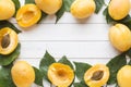 Fresh apricot berries with leaves on a light table.