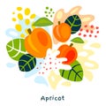 Fresh apricot berry berries fruits juice splash organic food juicy apricots splatter on abstract background