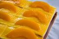 A fresh apricot cake,sliced