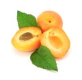 Fresh apricot fruits cut isolated Royalty Free Stock Photo