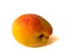 Fresh apricot fruits half. Apricot isolated on white background. Apricot collection Clipping Path. Professional studio macro Royalty Free Stock Photo