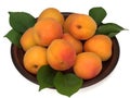 Fresh apricot fruits in a plate isolated on white background Royalty Free Stock Photo