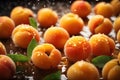 Fresh apricot fruits with water drops. ai generative Royalty Free Stock Photo