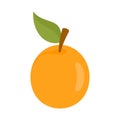 Fresh apricot icon, flat style