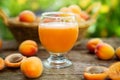 Fresh apricot juice in glass Royalty Free Stock Photo