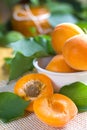Fresh apricots Royalty Free Stock Photo