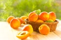 Fresh apricots Royalty Free Stock Photo