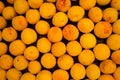 Fresh apricots as background, texture, fruit composition Royalty Free Stock Photo