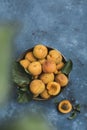 Fresh apricots in a bowl on a light blue background