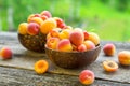 Fresh apricots in bowl on wooden table