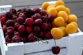 Fresh apricots and cherries in a white wooden box. Half apricots, half cherries. Vegetarian food, supplies. Sale in