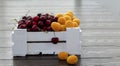 Fresh apricots and cherries in a white wooden box. Half apricots, half cherries. Vegetarian food, supplies. Sale in