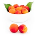 Fresh apricots in front and in the white bowl isolated Royalty Free Stock Photo