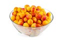 Fresh apricots in glass bowl isolated on white background Royalty Free Stock Photo