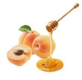 Fresh apricots and honey dripping from a dipper isolated on white background Royalty Free Stock Photo