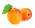 Fresh apricots with leaf close-up isolated on a white background Royalty Free Stock Photo