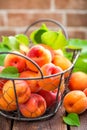 Fresh apricots with leaves in basket on wooden background Royalty Free Stock Photo