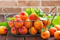 Fresh apricots with leaves in basket Royalty Free Stock Photo