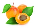 Fresh apricots with leaf close-up isolated on a white background