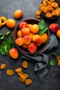 Fresh apricots with leaves and dried in bowl Royalty Free Stock Photo