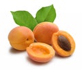 Fresh apricots with leaves on white background