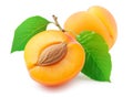 Fresh apricots with leaves on white background, one halved to expose seed