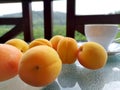 Fresh apricots scattered on the table.