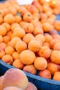 fresh apricots on a tray on a bazaar counter Royalty Free Stock Photo