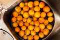 Fresh Apricots In The Water