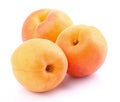 Fresh apricots Royalty Free Stock Photo