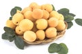 Fresh apricots on a white background with leaves Royalty Free Stock Photo