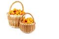 Fresh apricots in wicker baskets isolated on white background Royalty Free Stock Photo