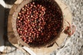 Fresh Arabica coffee berries in basket Royalty Free Stock Photo