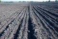 Fresh arable land in the form of vertical lines of black earth.