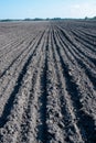 Fresh arable land in the form of vertical lines of black earth.