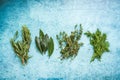 Fresh aramatic herbs,copy space Royalty Free Stock Photo